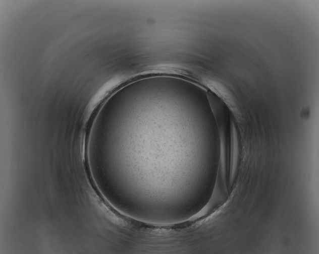 X0000089951180200707061114