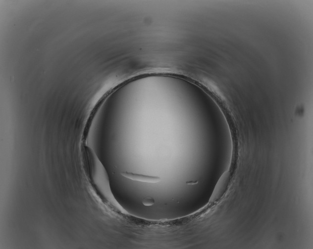 X0000089951181200707061114