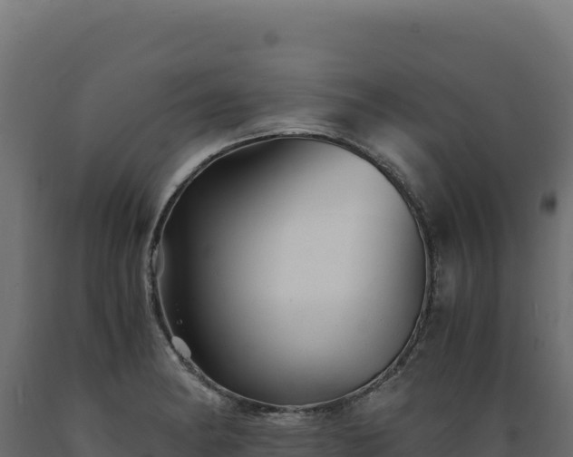 X0000089951182200707061114
