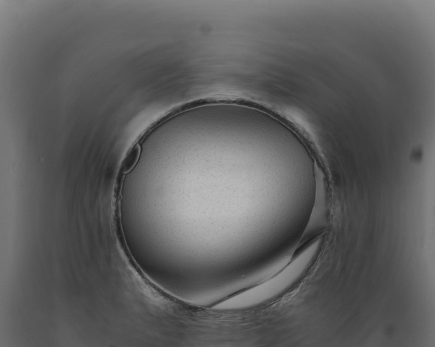 X0000089951183200707061114