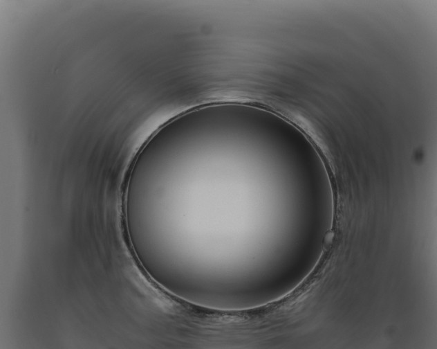 X0000089951187200707061114
