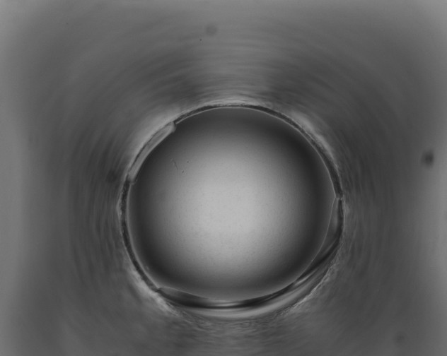 X0000089951189200707061114