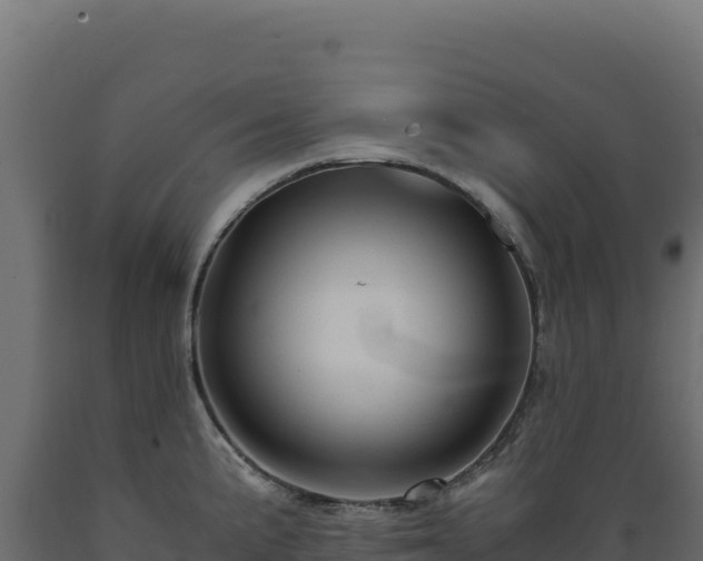X0000089951191200707061114