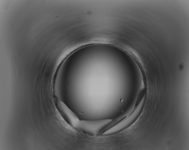 X0000089951192200707061114