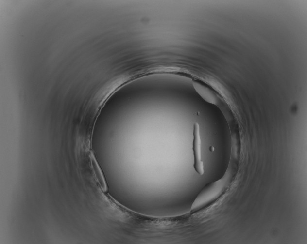 X0000089951193200707061114