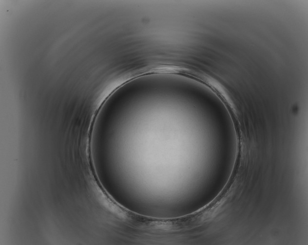 X0000089951194200707061114
