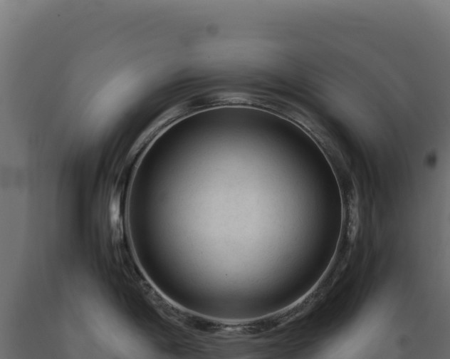 X0000089951198200707061114