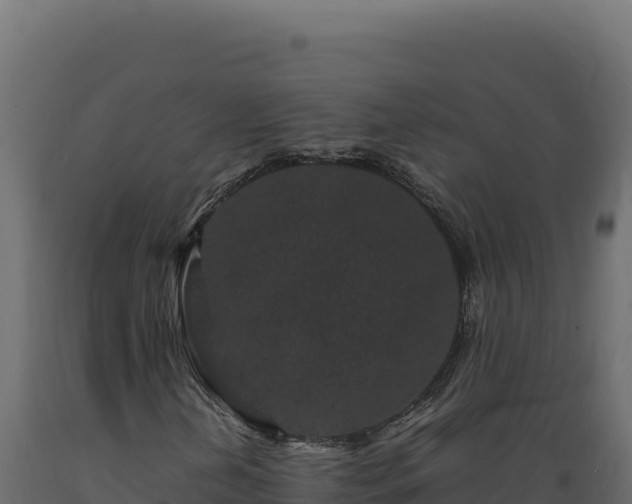 X0000089951202200707061113