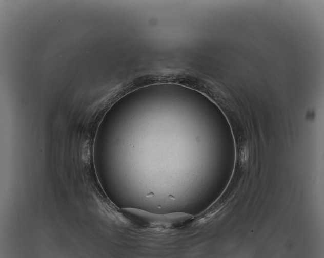 X0000089951204200707061113