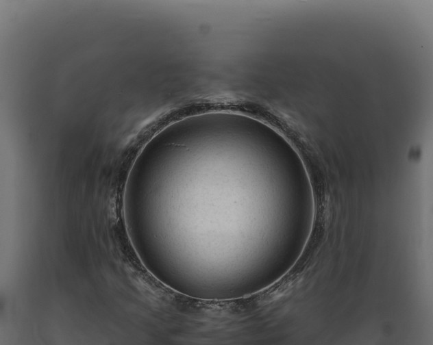 X0000089951205200707061113