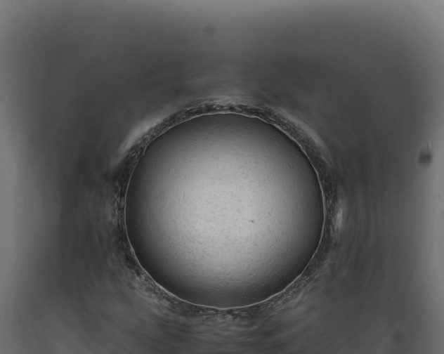 X0000089951207200707061113