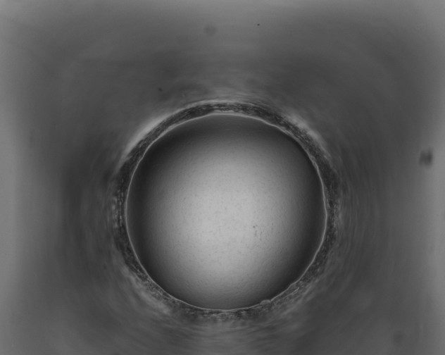 X0000089951208200707061113