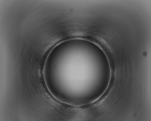 X0000089951209200707061113