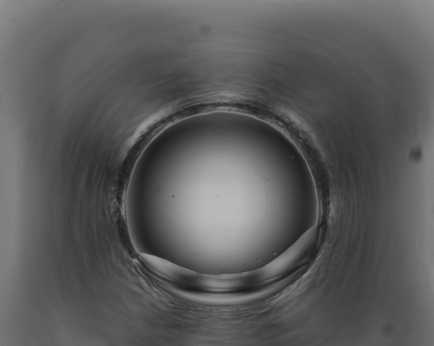 X0000089951210200707061113