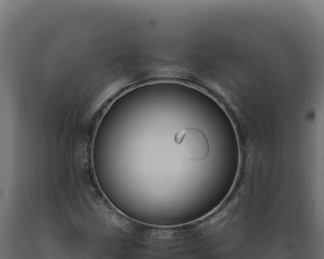X0000089951211200707061113