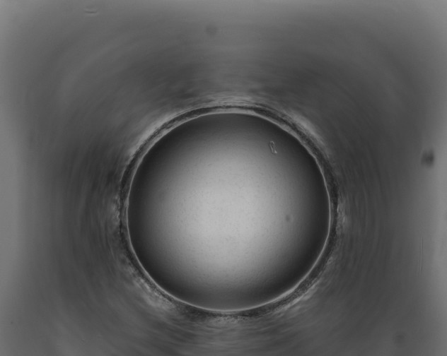 X0000089951212200707061113
