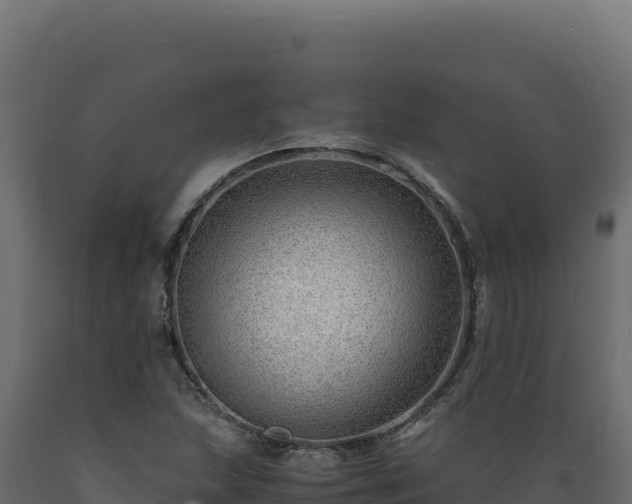 X0000089951215200707061114