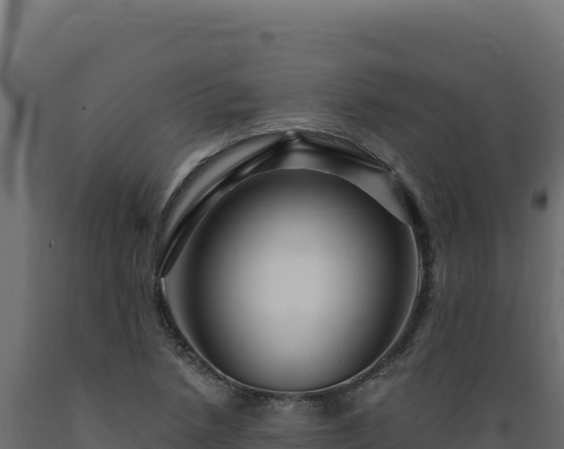 X0000089951218200707061114