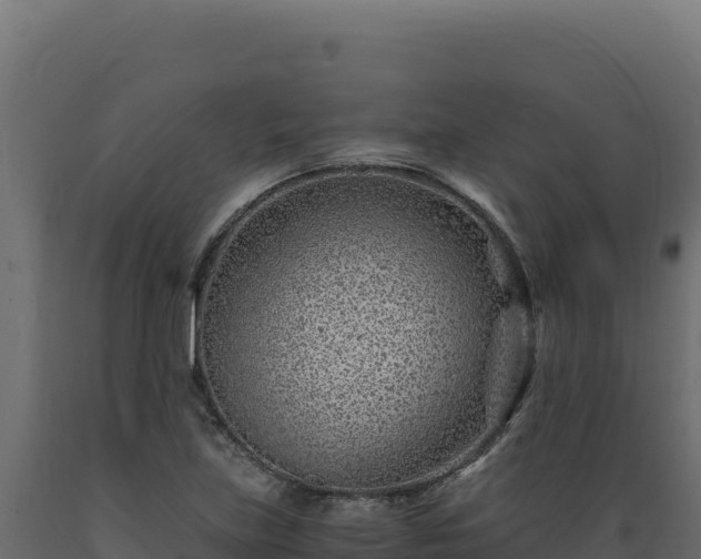 X0000089951219200707061114