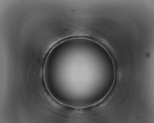 X0000089951220200707061114