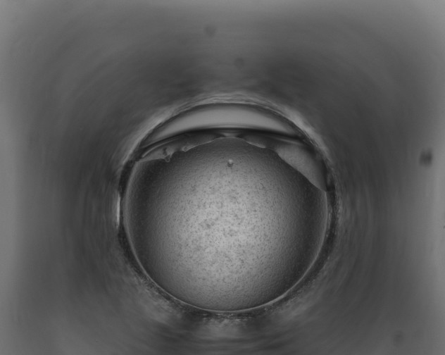X0000089951221200707061114