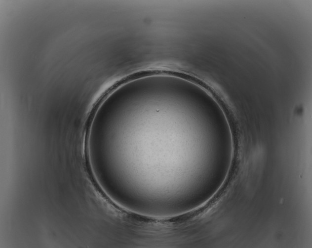 X0000089951224200707061114