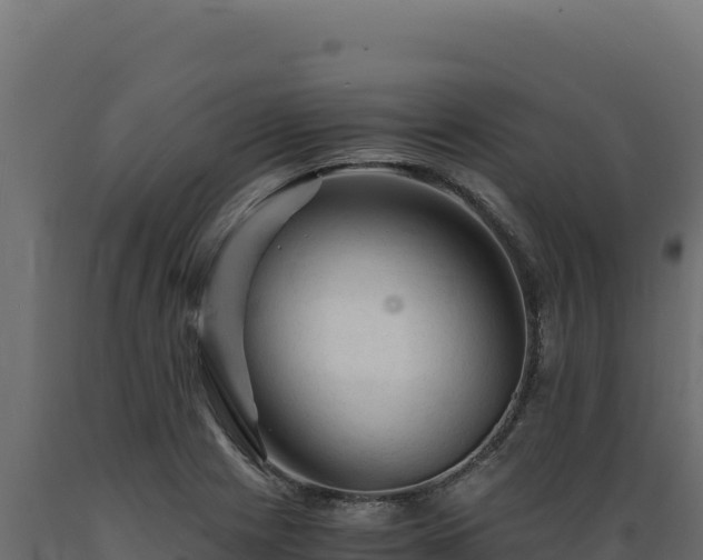 X0000089951225200707061114