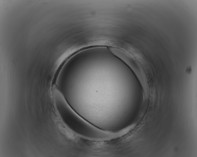 X0000089951230200707061114