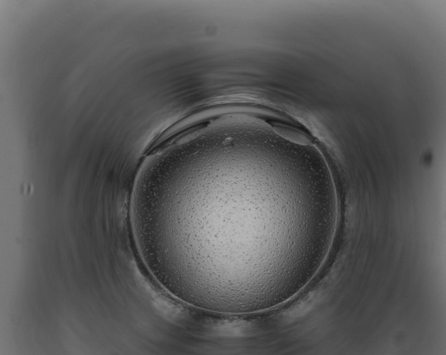 X0000089951233200707061114