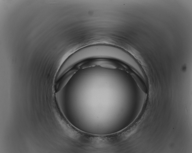 X0000089951234200707061114