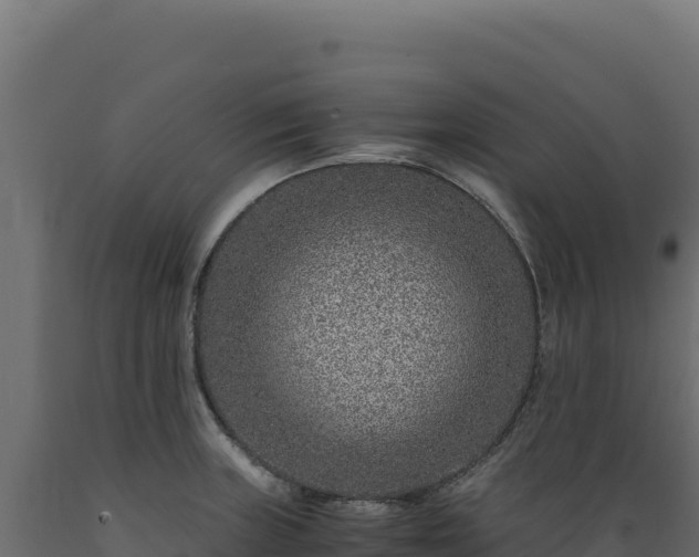 X0000089951235200707061114