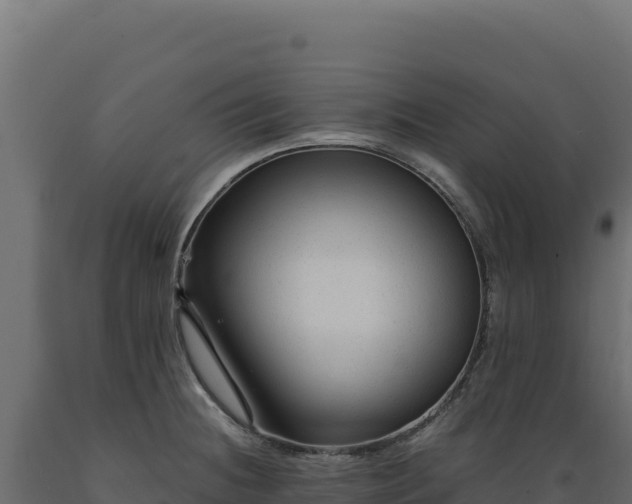 X0000089951236200707061114