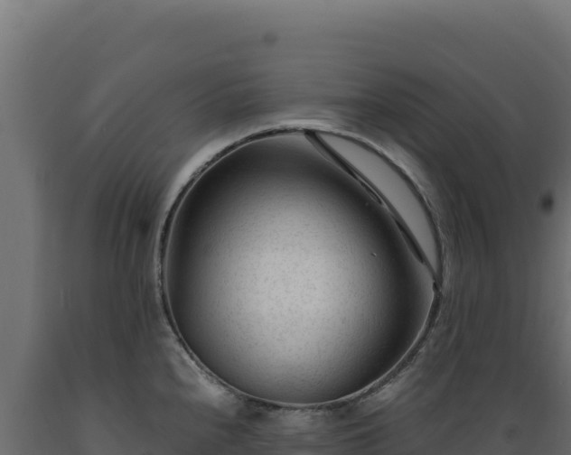 X0000089951240200707061114