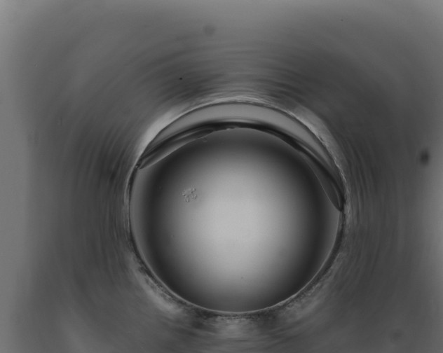 X0000089951242200707061114