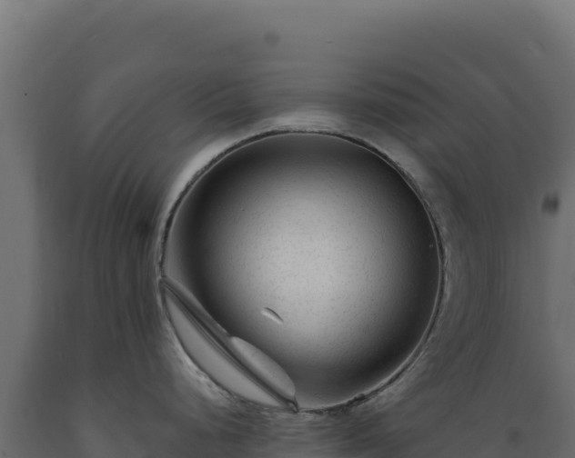 X0000089951248200707061114