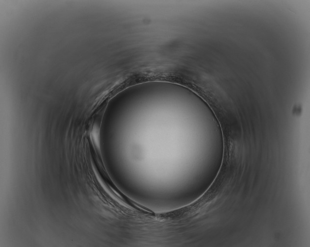 X0000089951250200707061113