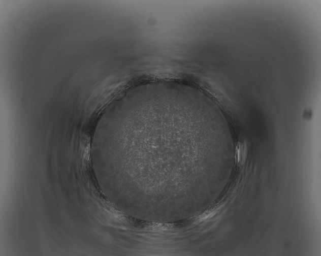 X0000089951251200707061113