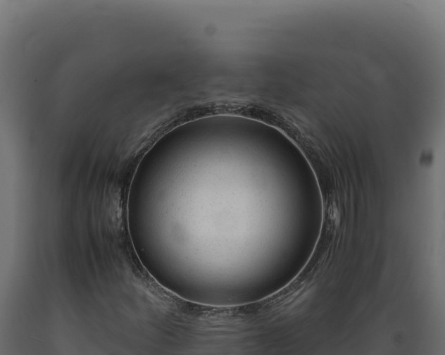 X0000089951252200707061113