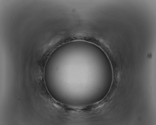 X0000089951253200707061113
