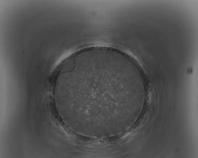 X0000089951255200707061113