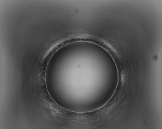 X0000089951256200707061113