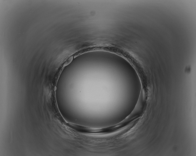 X0000089951257200707061113
