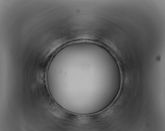 X0000089951258200707061113