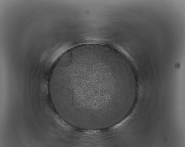 X0000089951259200707061113