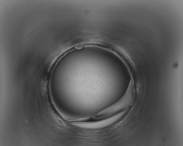 X0000089951260200707061113