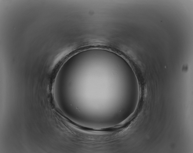 X0000089951261200707061113