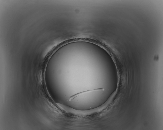X0000089951262200707061113