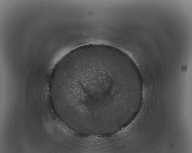 X0000089951263200707061113
