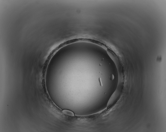 X0000089951264200707061113