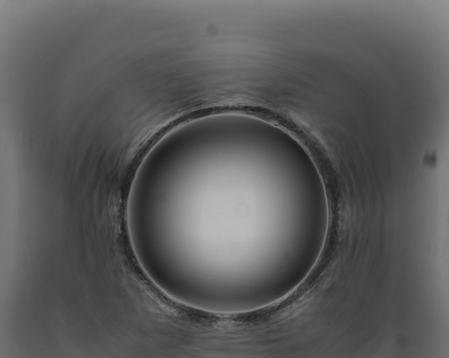 X0000089951265200707061113